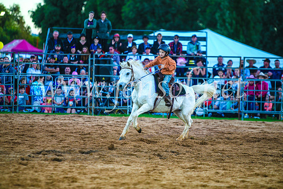 CamdenShowRodeo2017_0135
