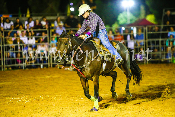 CamdenShowRodeo2017_1297