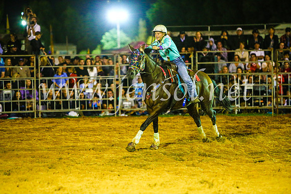 CamdenShowRodeo2017_0591