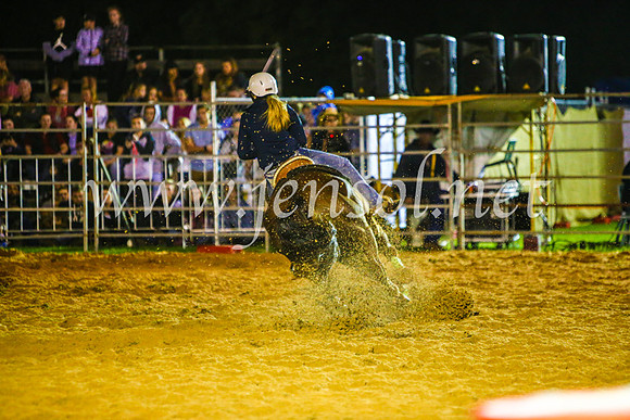 CamdenShowRodeo2017_1208
