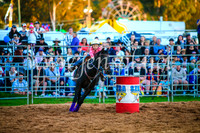 CamdenShowRodeo2017_0189