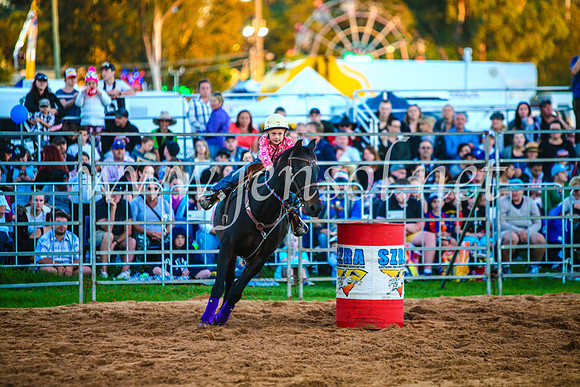 CamdenShowRodeo2017_0189
