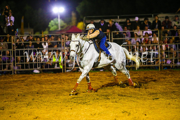 CamdenShowRodeo2017_0655