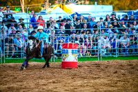 CamdenShowRodeo2017_0162