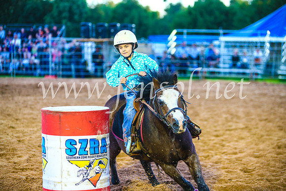 CamdenShowRodeo2017_0171