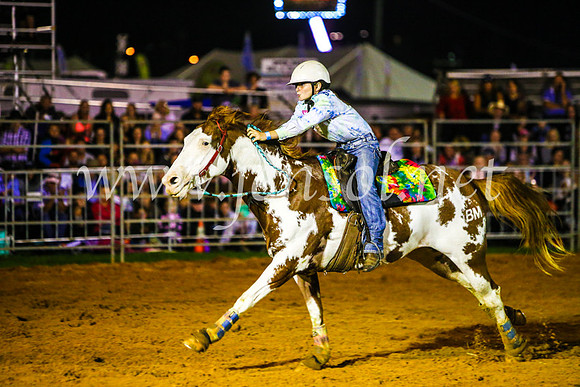 CamdenShowRodeo2017_0690
