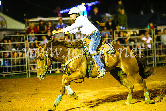 CamdenShowRodeo2017_1249
