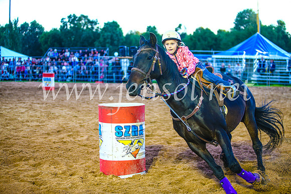 CamdenShowRodeo2017_0199