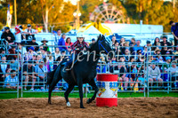 CamdenShowRodeo2017_0185