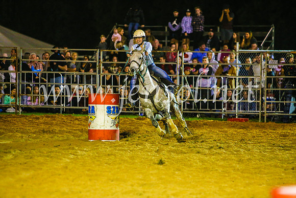 CamdenShowRodeo2017_1138