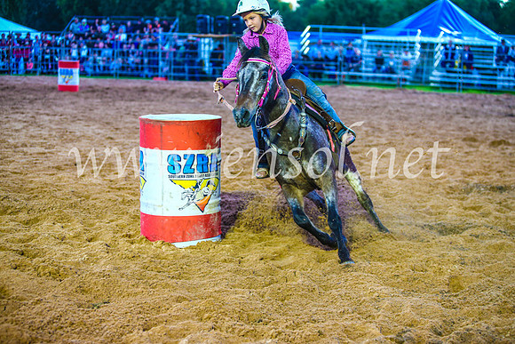 CamdenShowRodeo2017_0183
