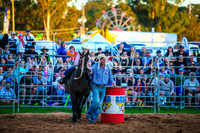 CamdenShowRodeo2017_0150