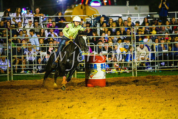 CamdenShowRodeo2017_0520