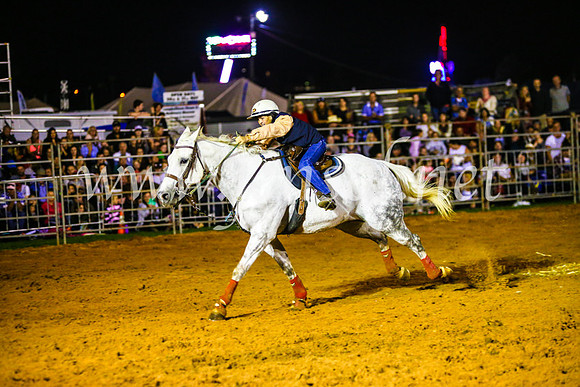 CamdenShowRodeo2017_0668