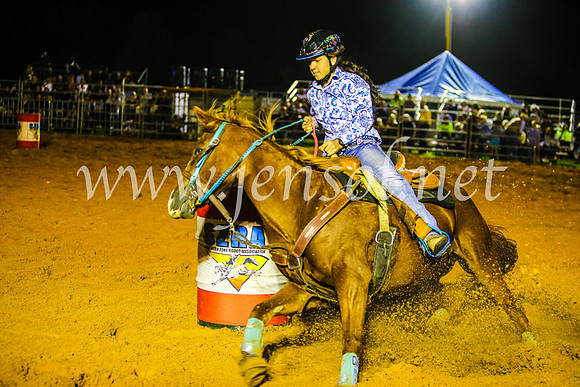 CamdenShowRodeo2017_1232