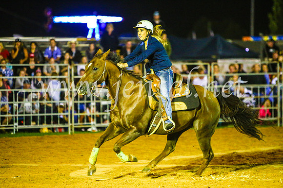 CamdenShowRodeo2017_1210