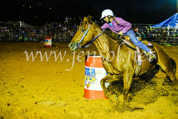 CamdenShowRodeo2017_0511