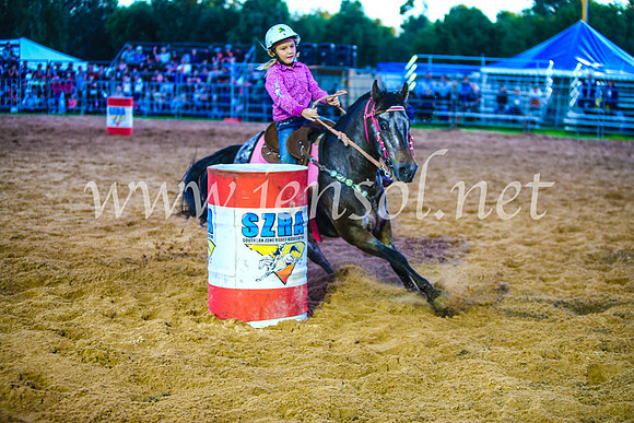 CamdenShowRodeo2017_0176