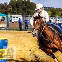 Braidwood1_2505