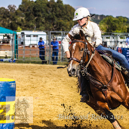 Braidwood1_2505