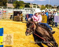 Braidwood1_2446