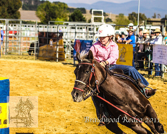 Braidwood1_2446