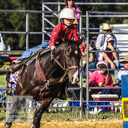 Braidwood1_2449
