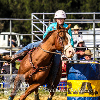 Braidwood1_2496