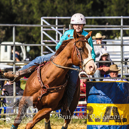 Braidwood1_2496
