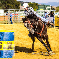 Braidwood1_2459