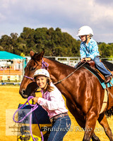 Braidwood1_2467