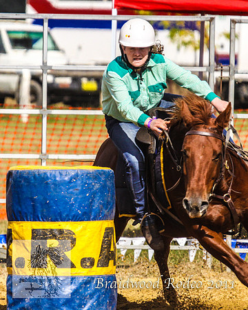 Braidwood1_2572