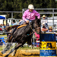 Braidwood1_2511