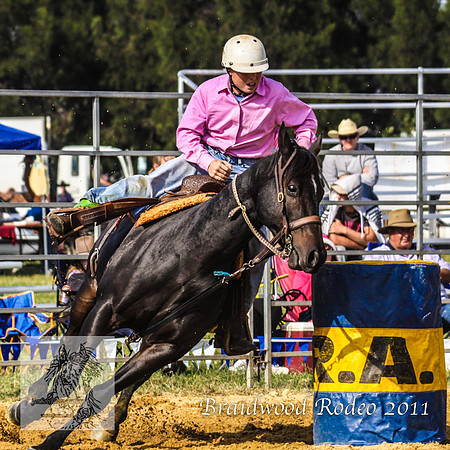 Braidwood1_2511