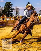 Braidwood1_0699