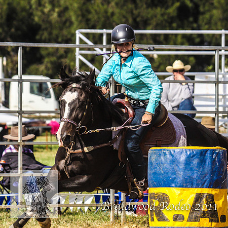 Braidwood1_2544