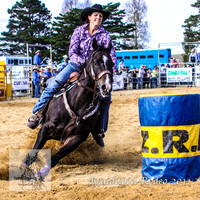 Braidwood1_0727
