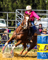 Braidwood1_2480