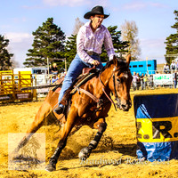 Braidwood1_0682