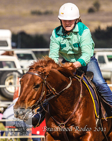 Braidwood1_2575