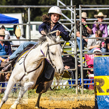 Braidwood1_2567