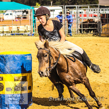 Braidwood1_2587