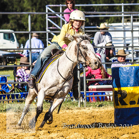 Braidwood1_2453