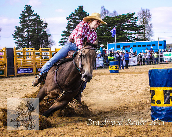 Braidwood1_0712