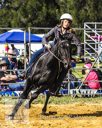 Braidwood1_2484