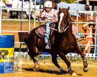 Braidwood1_2441