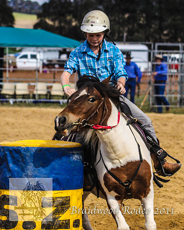 Braidwood1_2593