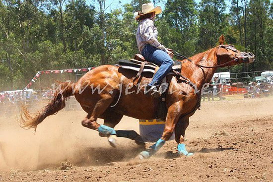 pictonrodeo2013one_0225