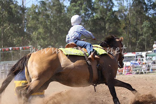 pictonrodeo2013kjs_0674