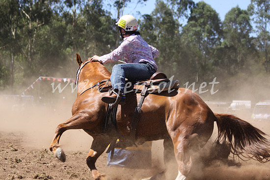 pictonrodeo2013kjs_0393